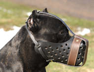 Cane Corso Leather Dog Muzzle "Dondi plus" Cane Corso Leather Dog Muzzle "Dondi plus"